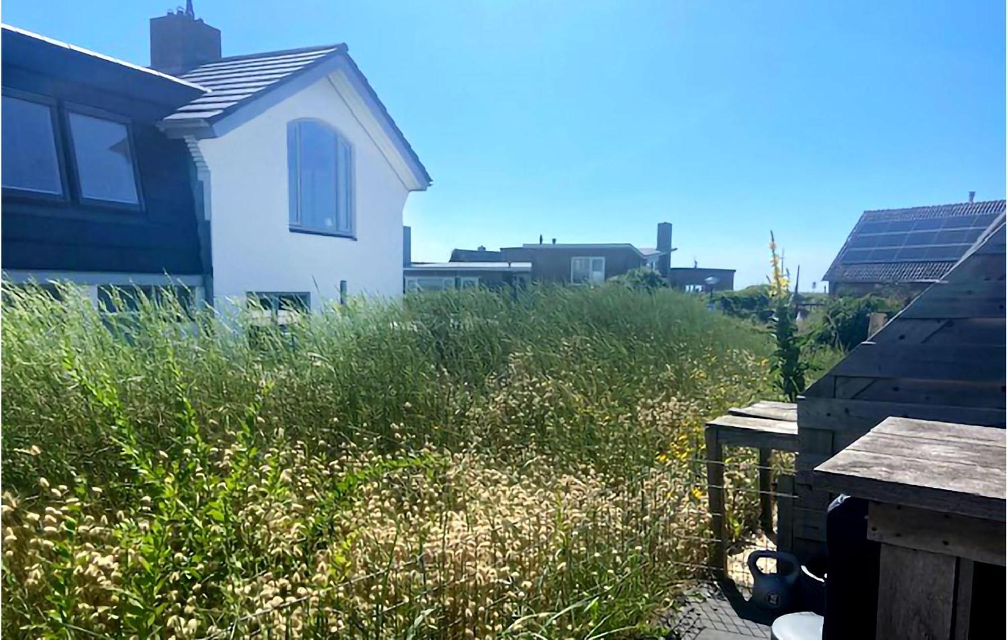 De Duinparel Apartamento Bergen aan Zee Exterior foto